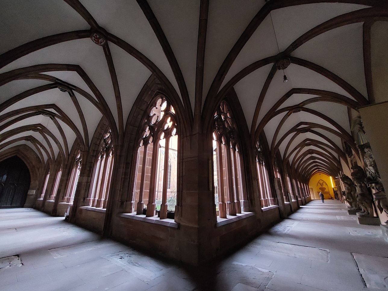 Mainzer Dom - 2022